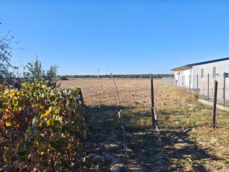 Teren Construcții intravilan de 3384 mp, în Periș