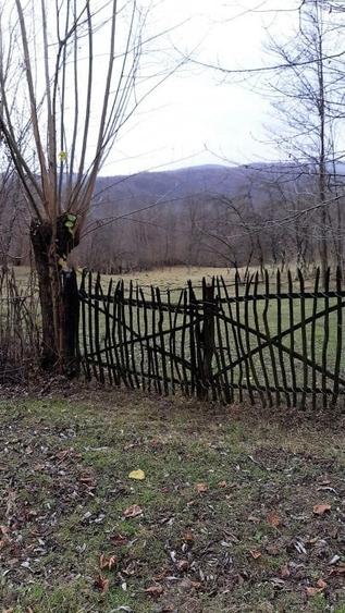 Teren agricol extravilan de 9826 mp, în Aluniș