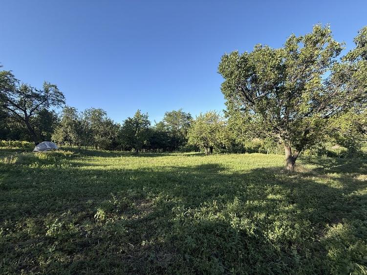 Casă cu 3 camere în Cotnari