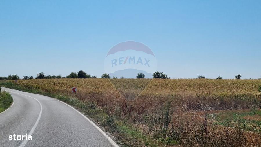 Teren 16.083 mp de vanzare Sinesti, sat Lilieci, Slobozia - 3