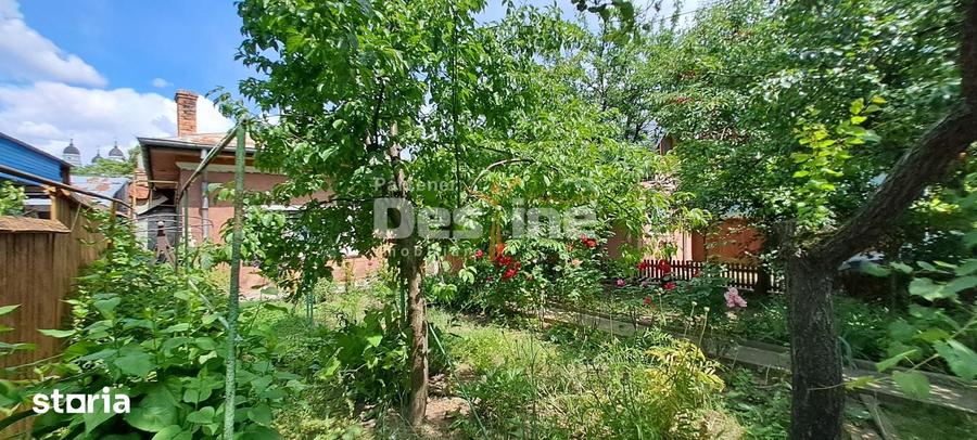 IASI, Zona Centrala - Proprietate cu potential COMERCIAL si INVESTITIO - 8