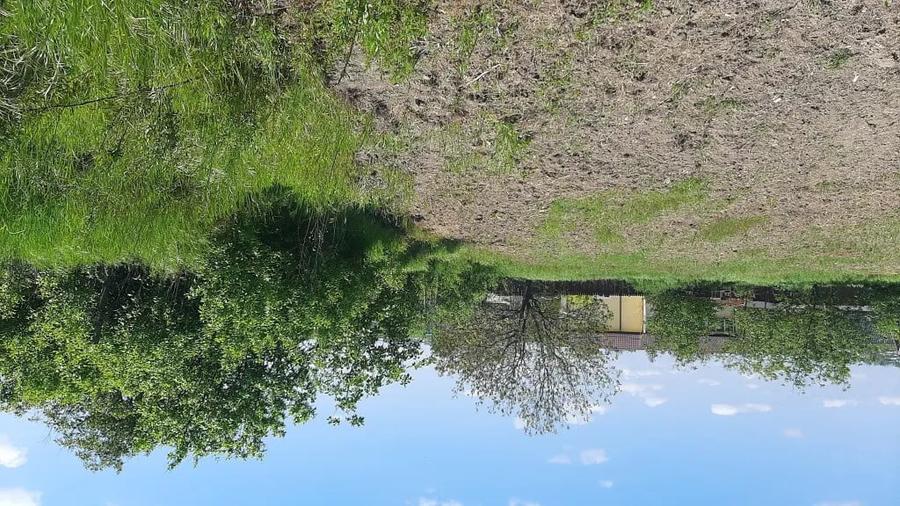 Teren de 7000 mp, în Poșta (Topliceni)