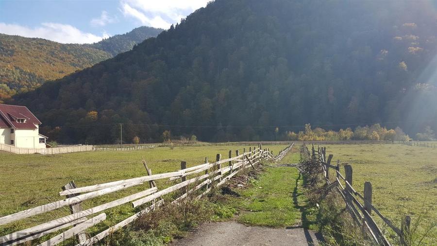 Teren intravilan de 6025 mp, în Lepșa