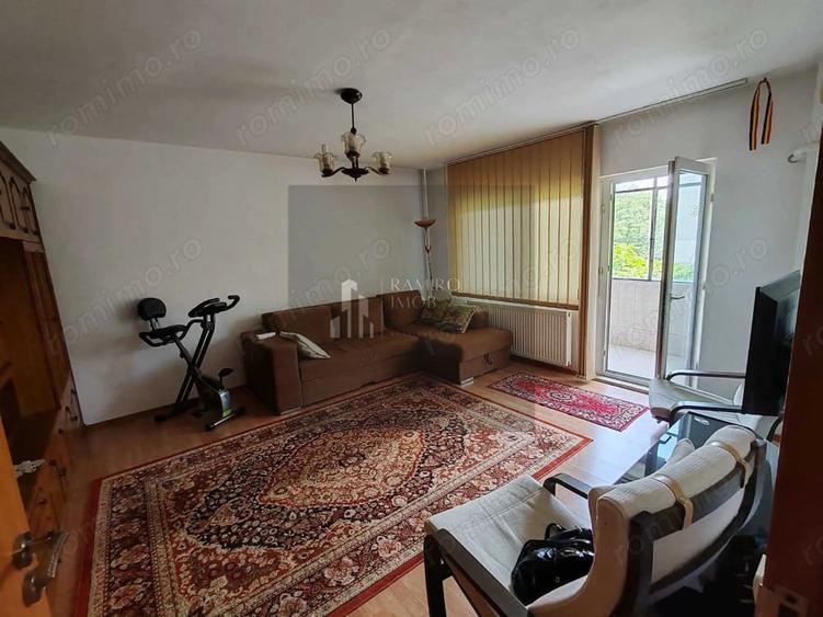 Apartament 2 camere, str Vicina, decomandat, 61 mp - 12