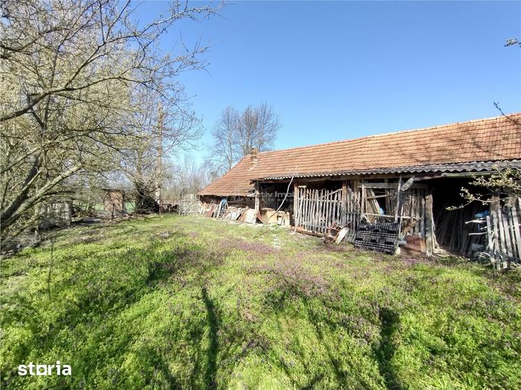 Casă cu 8 camere cu Teren 3800 Mp în Central
