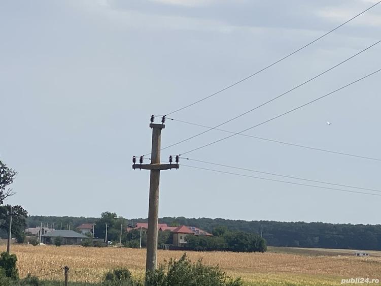Teren de 12600 mp, în Frumușani