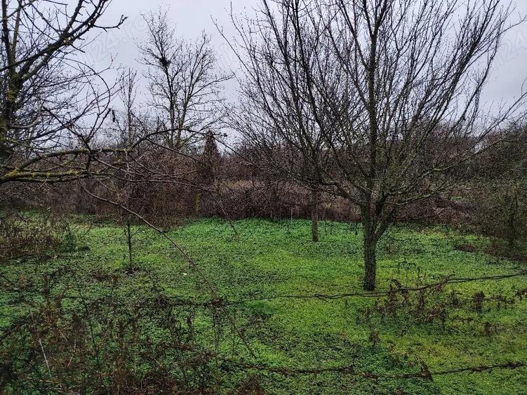 Casă cu Teren 2914 Mp în Bărcănești