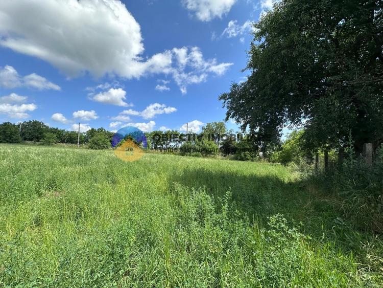 Teren Construcții intravilan de 5654 mp, în Dragomirești