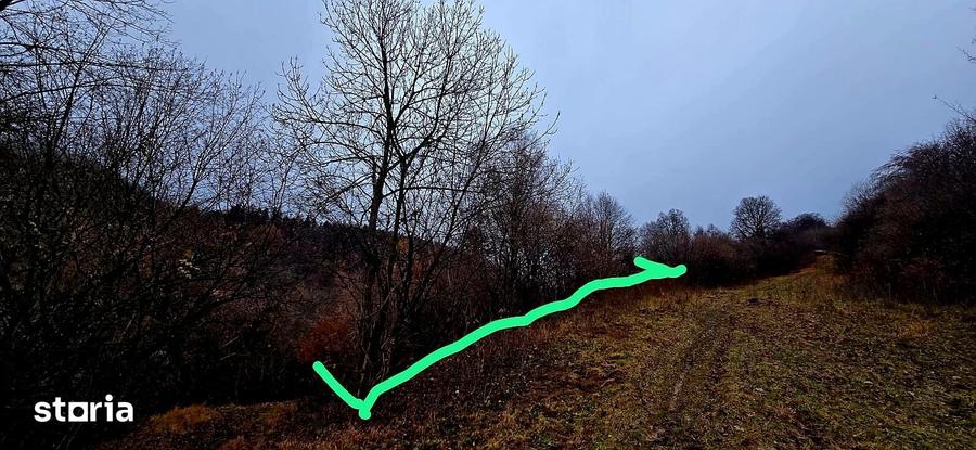 Teren intravilan in ?chei 1577 mp, investitie pe termen lung - 6
