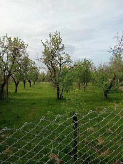 Casă cu 3 camere în Odăeni