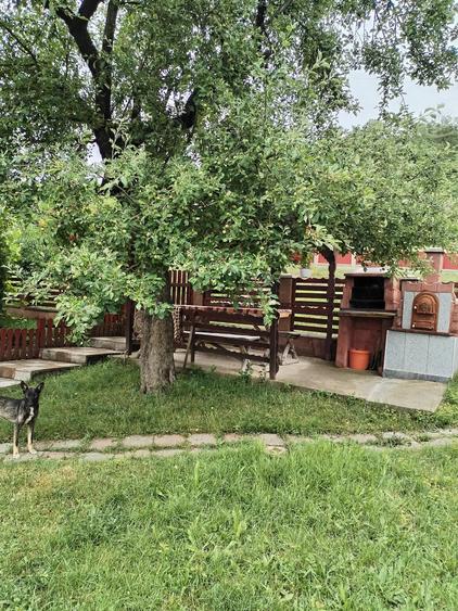 Casă cu 2 camere cu Teren 6000 Mp în Lechincioara