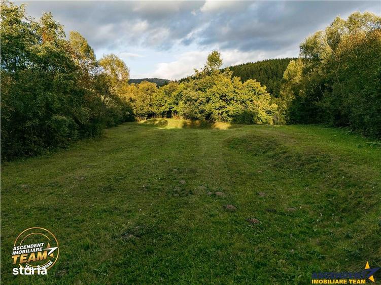 Teren de 4800 mp, în Ojdula