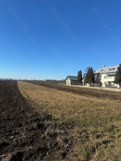 Teren de 2000 mp, în Pătrăuți