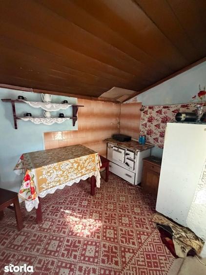 Comision 0% I Casa individuala I Teren de 3252 mp I Arghis - 12
