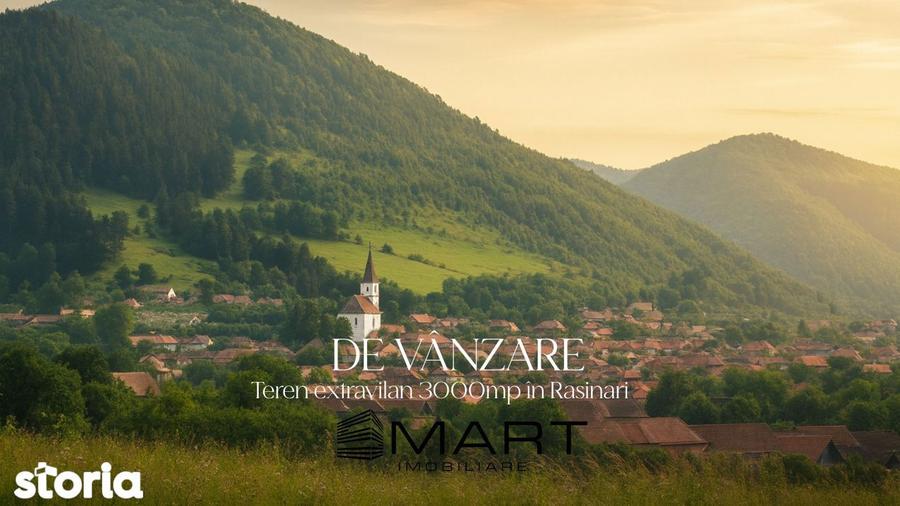 Teren extravilan cu priveliste minunata 3000mp in Rasinari - 2