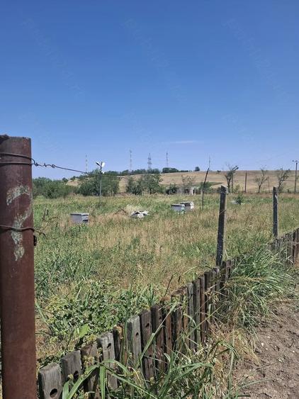 Teren de 2525 mp, în Aurora