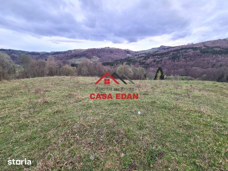 Teren de 20500 mp, în Valea Doftanei
