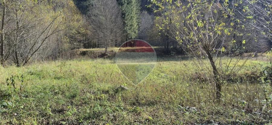 Teren Construcții intravilan de 2800 mp, în Tarcău