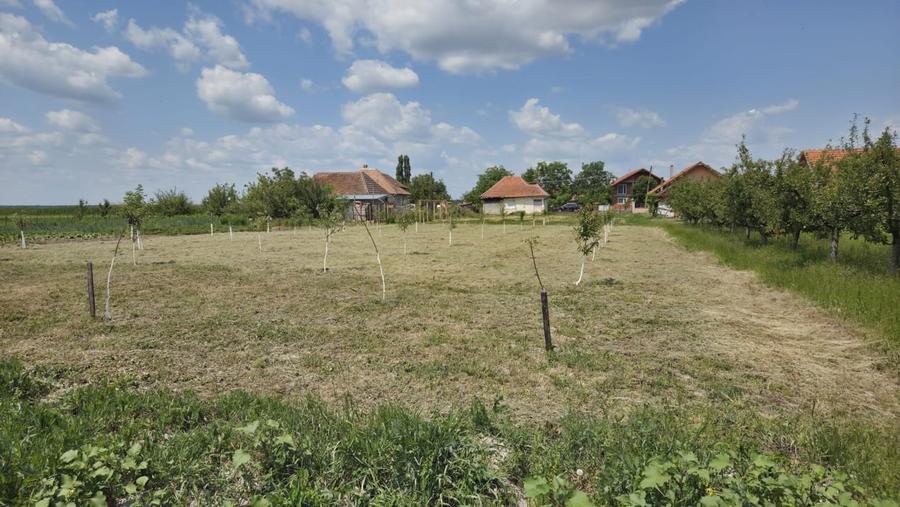 Casă  cu teren de 40 ari în localitatea Gelu - 6