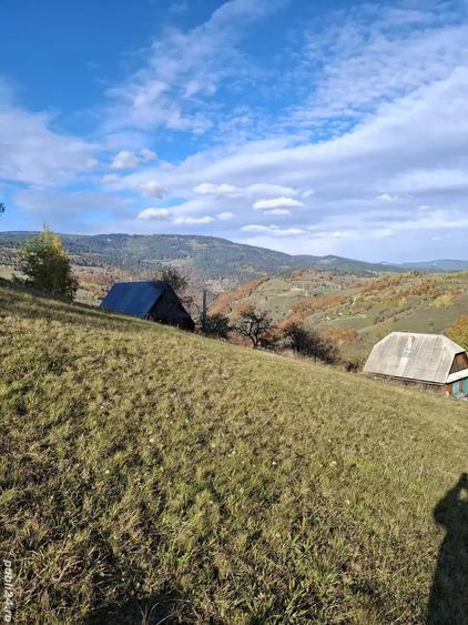 Teren de 25000 mp, în Bistra
