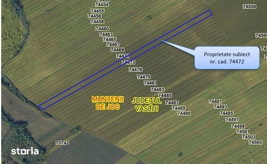 Teren de 24200 mp, în Muntenii de Jos