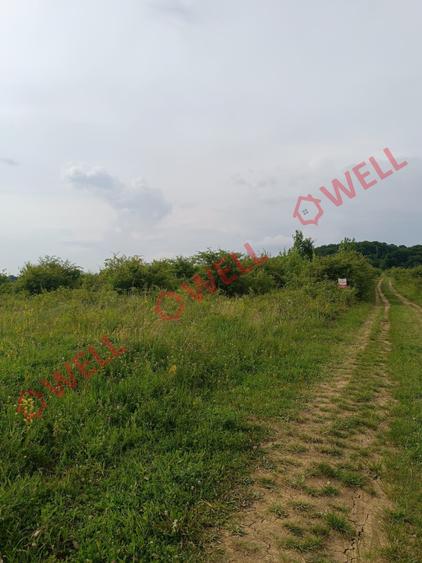 Teren Construcții intravilan de 7900 mp, în Livezeni