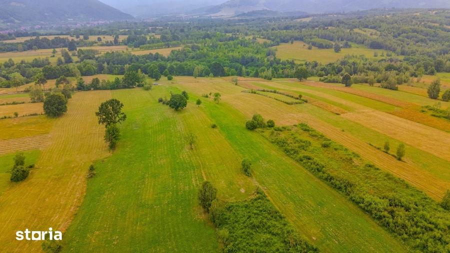 Teren de 8439 mp, în Șinca