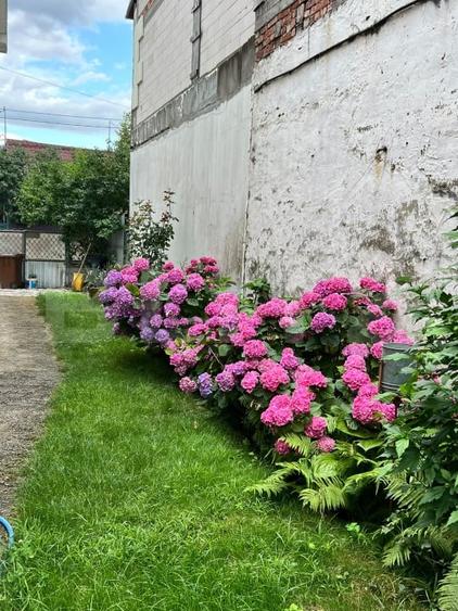 Casă individuală cu 4 camere cu Canalizare în Bulgaria