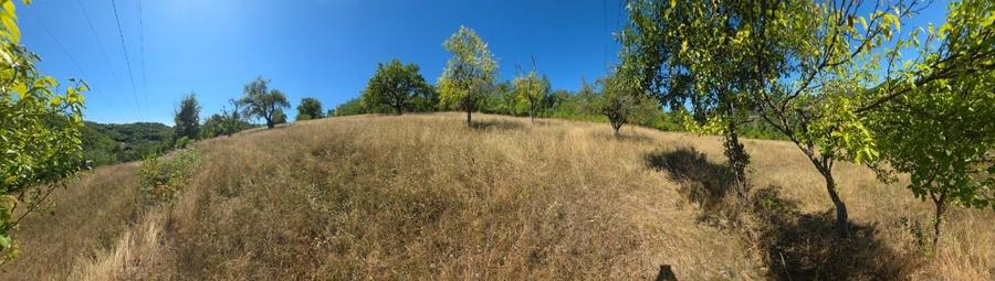 Teren Construcții intravilan de 6459 mp, în Luncoiu de Jos