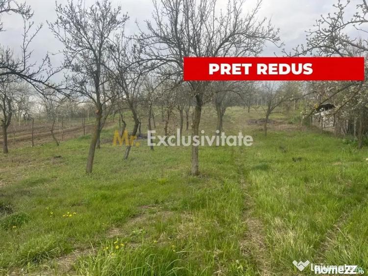Teren în Călinești