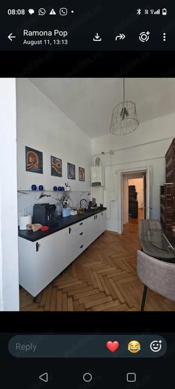 Piata Victoriei 130 m2 ,apart Belle Epoque - 6