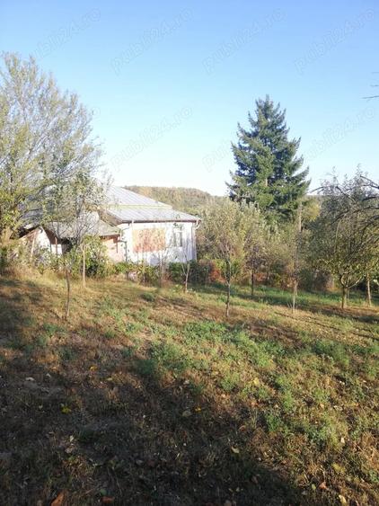 Casă cu 3 camere cu Teren 25000 Mp în Călinești