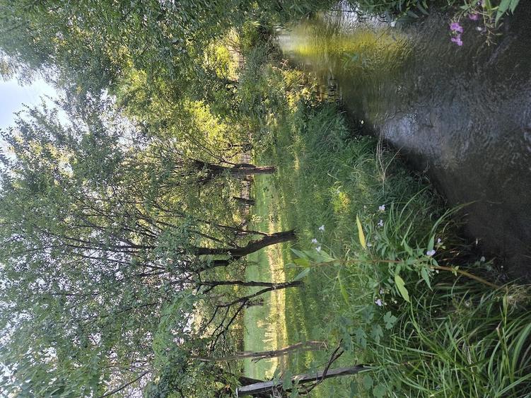 Casă cu Teren 3435 Mp în Josenii Bârgăului