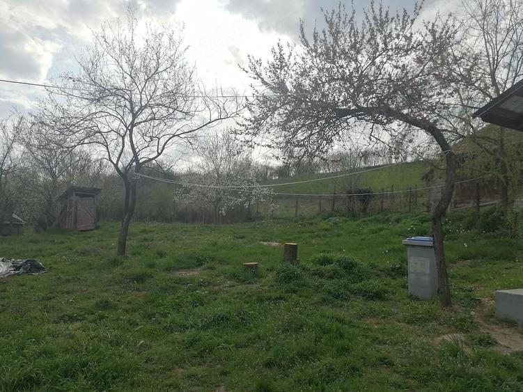 Casă cu 3 camere cu Teren 900 Mp în Sânmihaiu Almașului