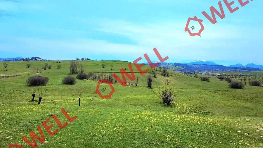 Teren agricol extravilan de 6519 mp, în Sărămaș