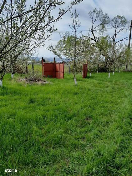 De vanzare teren extravilan in Sfantu Gheorghe - 6