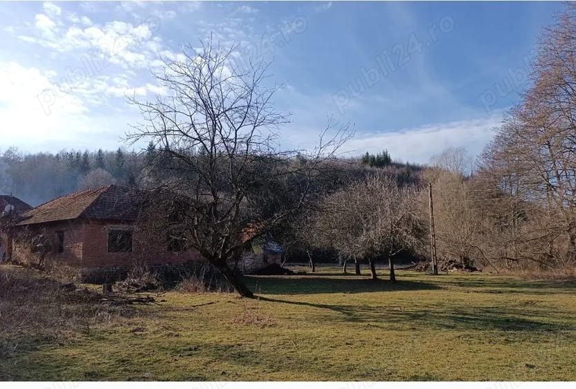 Casă cu 4 camere cu Teren 3500 Mp în Cărpinet