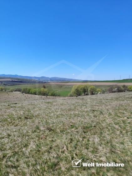 Teren agricol de 10000 mp, în Ciurila