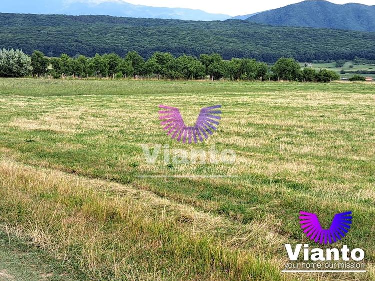 Teren agricol extravilan de 6200 mp, în Rășinari
