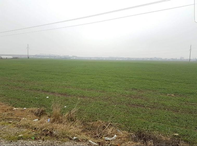 Teren Construcții intravilan de 8400 mp, în Roznov