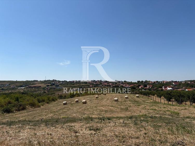 Teren Construcții intravilan de 6355 mp, în Nord