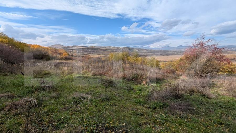 Teren agricol extravilan de 1000 mp, în Șard
