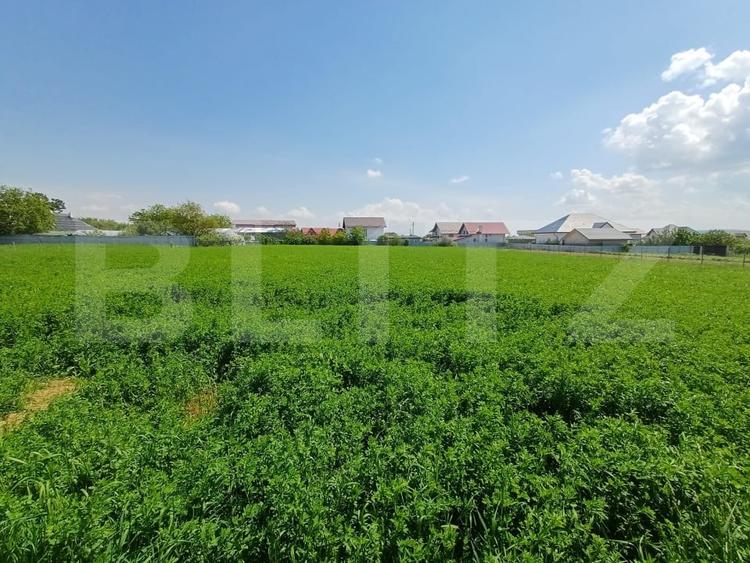 Teren de vanzare intravilan, 72 ari, zona Salcea - 6