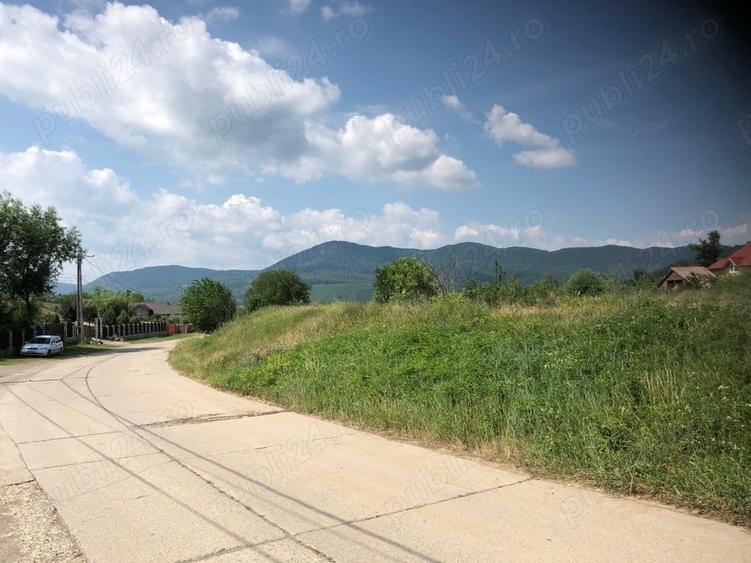 Teren de 5470 mp, în Ciritei