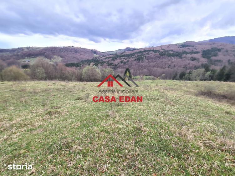 Teren de 20500 mp, în Valea Doftanei