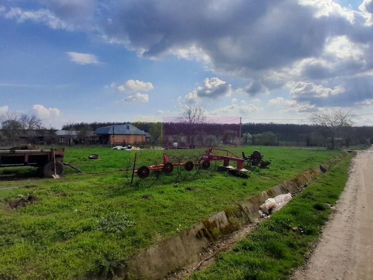 Teren Construcții intravilan de 3400 mp, în Buturugeni