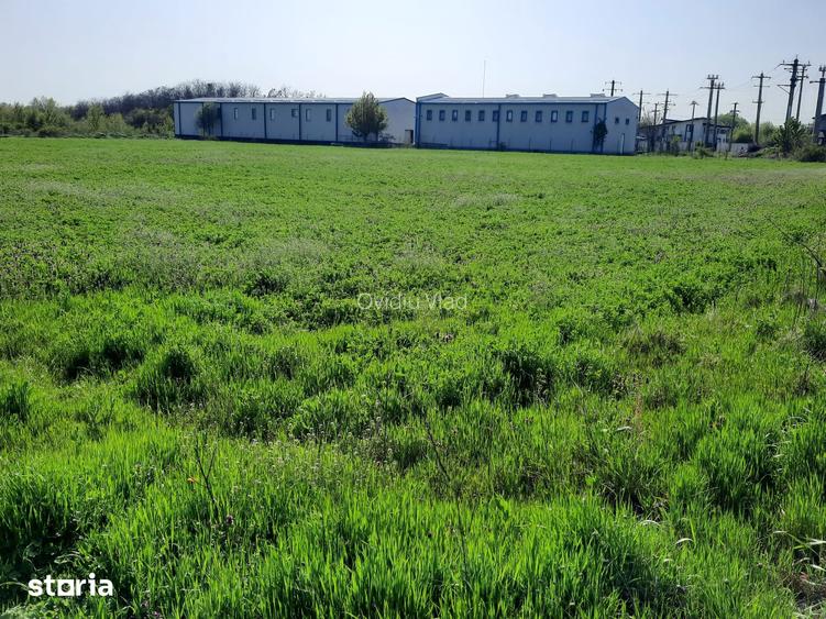 FARA COMISIOANE in Joita aproape de drumul asfaltat teren de 4600mp