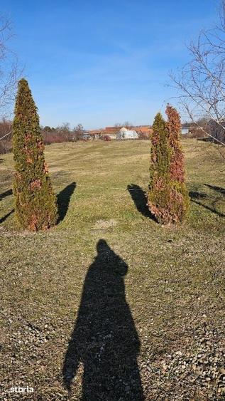 Teren de 7600 mp, în Nufărul