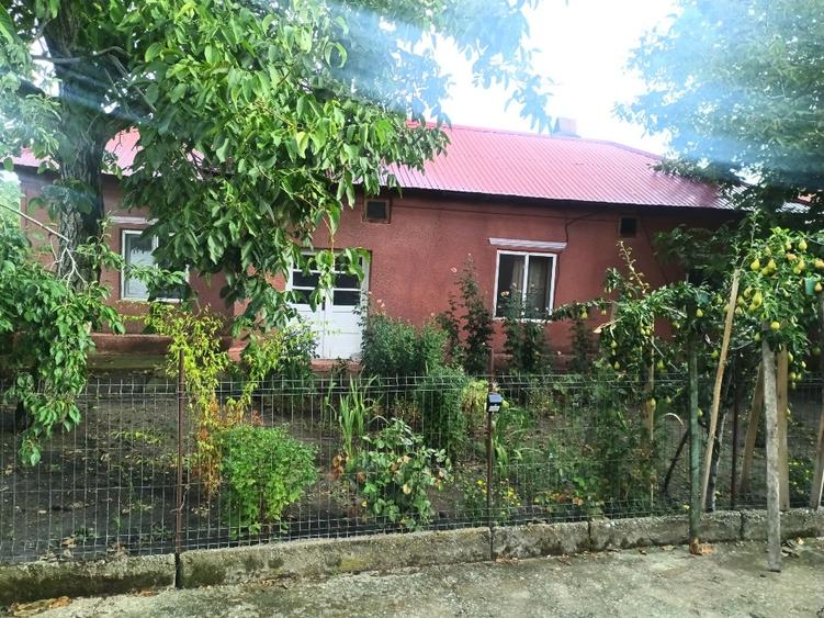 Casa de vanzare in Antonesti (Calinesti) Alexandria Teleorman - 2
