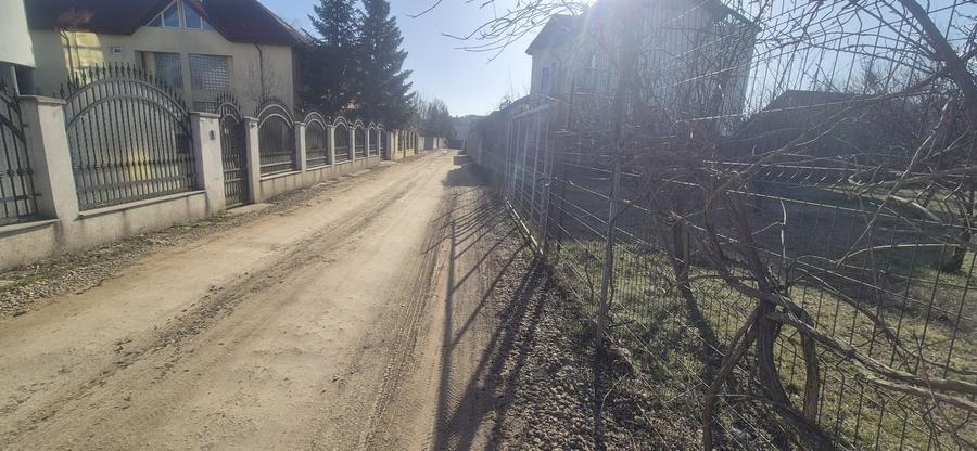 Teren Construcții intravilan de 1000 mp, în Iancu Nicolae